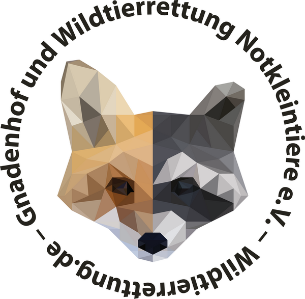 Wildtiere 2017  WILDTIERRETTUNG BERLIN BRANDENBURG